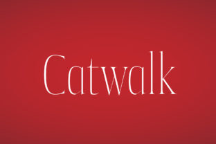 Catwalk: A Versatile Decorative Display Font for Creative Expression
