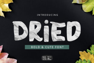 Dried: A Bold Display Font with a Playful Twist